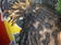 Dreadlocks