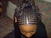 lyly237